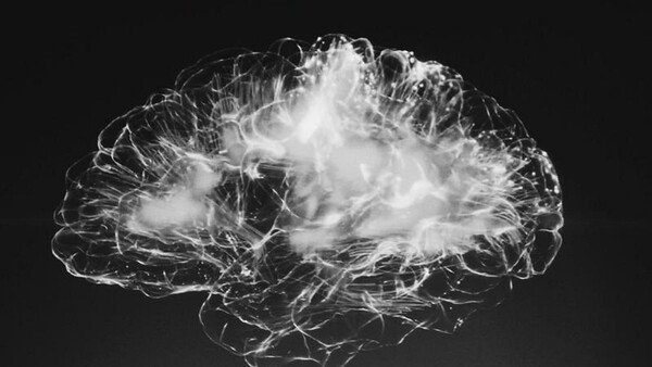 Diario HOY | Partículas tóxicas del aire inhaladas pasan del pulmón al cerebro y causan daños neurológicos