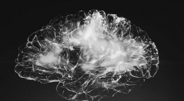  | Partículas tóxicas del aire inhaladas pasan del pulmón al cerebro y causan daños neurológicos