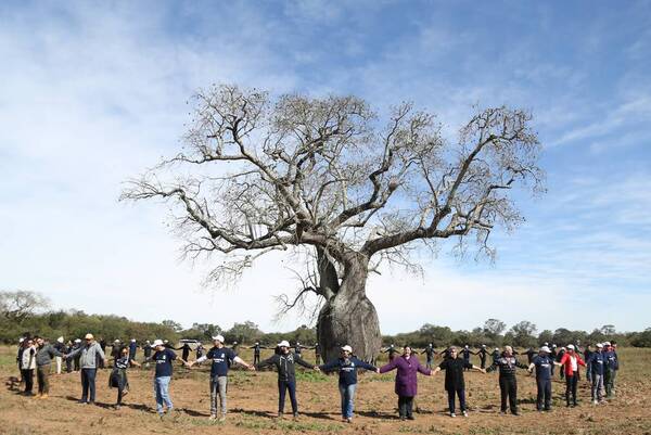 Concurso premiará a los "colosos de la tierra" - El Independiente