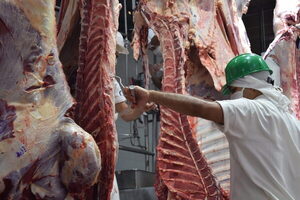 Brasil fue habilitado para exportar carne vacuna con hueso a Uruguay
