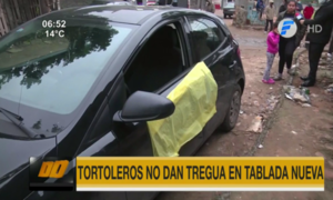 Tortoleros no dan tregua en Tablada Nueva | Telefuturo
