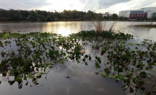 Fin de semana será fresco y con pocas probabilidades de lluvias