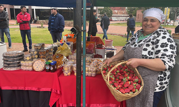 Feria de frutilla y derivados en la explanada de la municipalidad - OviedoPress