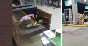 Crónica / Pillaron a "gerente" durmiendo en su lugar de trabajo
