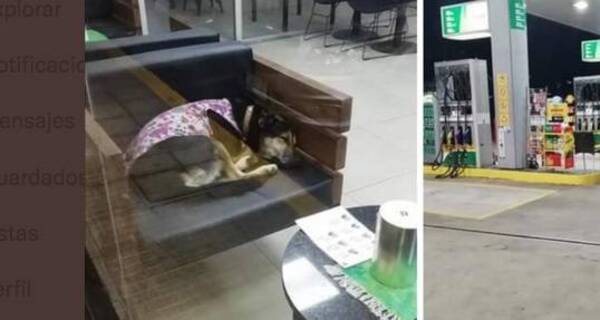 Crónica / Pillaron a "gerente" durmiendo en su lugar de trabajo