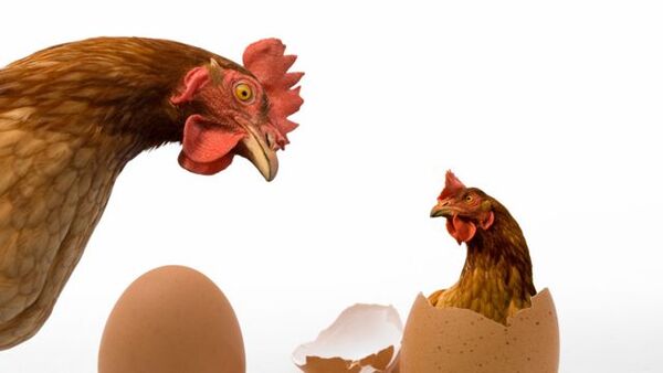 ¿El Huevo o la gallina? ¿O el Contrabando? | Administración & Negocios | 5Días