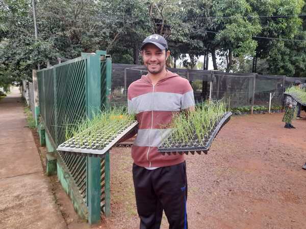 Productores reciben plantines de cebollas por parte del municipio encarnaceno