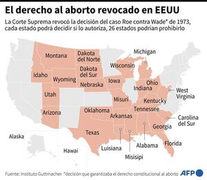 ¿Qué dice el fallo del Supremo de EE.UU. sobre el aborto? - Mundo - ABC Color