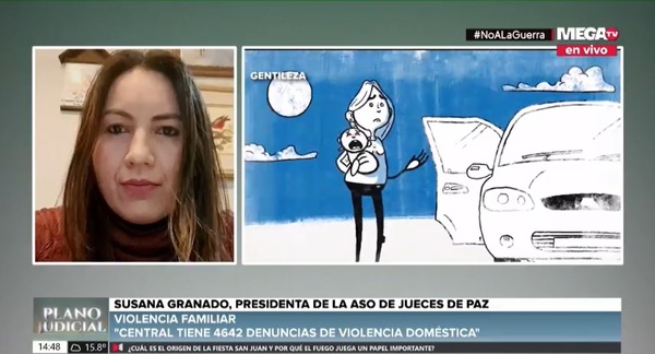 Luque a la cabeza: Hay más de 11 mil denuncias de violencia doméstica en lo que va del año - Megacadena — Últimas Noticias de Paraguay