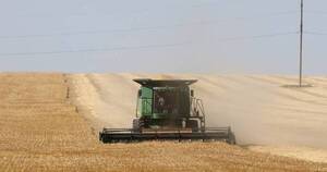 La Nación / Putin: Exportación de trigo desde Ucrania es polémica “artificial”