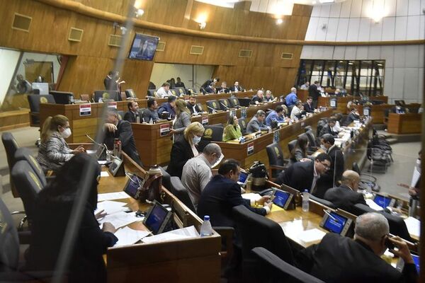 Congreso dilata envío de la sancionada polémica ley diplomática - Política - ABC Color