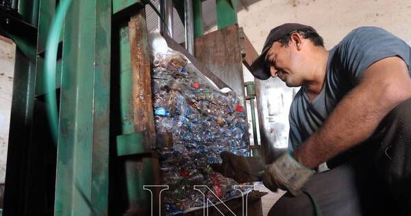La Nación / Industria del reciclaje emplea a más de 100mil recicladores y mueve más de US$ 100 millones al año