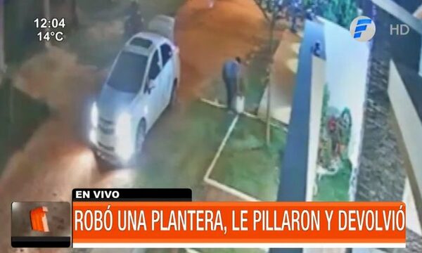 Robó una plantera, lo descubrieron y tuvo que devolverla - PARAGUAYPE.COM