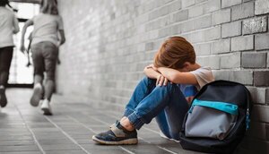 Acoso escolar: la delgada línea entre la prevención y el crimen - El Independiente