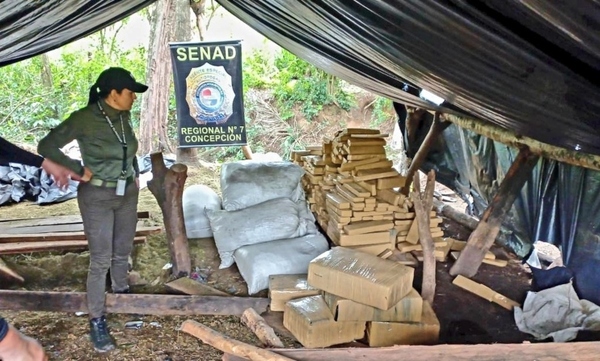 SENAD anuló 2 campamentos narcos en Concepción - Megacadena — Últimas Noticias de Paraguay