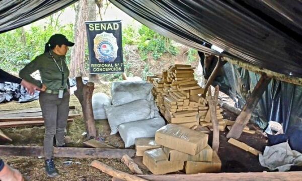 SENAD anuló 2 campamentos narcos en Concepción