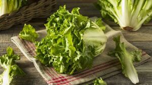 Así se mantiene la lechuga en la heladera por un mes