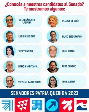 Patria Querida da a conocer lista para el Senado - Nacionales - ABC Color