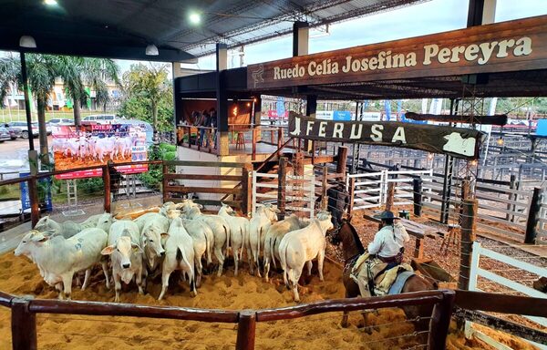 Domingo, Ferusa remata vaquillas preñadas y toros en la 19° feria de Ganadera Alborada
