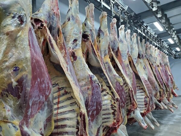 Taiwán acordó la compra de carne bovina de México y la posibilidad de sumar cerdo