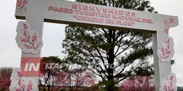 LA PAZ CELEBRA LA FIESTA DE LOS CEREZOS EN FLOR