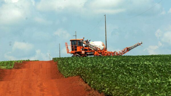 El agro perfila buen rinde y precios que apuntalarían al PIB