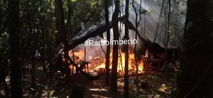 Senad destruye varias parcelas de plantaciones de marihuana tipo creepy en una estancia - Radio Imperio