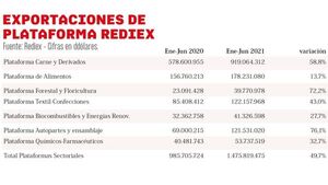 Plataformas Rediex movieron US$ 1.475 millones en seis meses | Exportaciones | 5Días