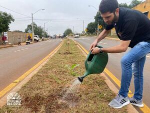 Arborizan avenida San José en inmediaciones del Palacio de Justicia - Noticde.com