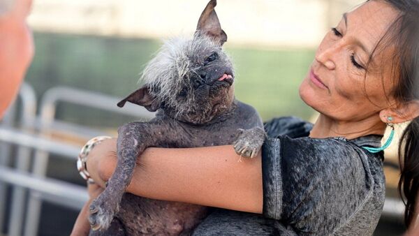 "Sr. Rostro Feliz", el nuevo perro más feo del mundo