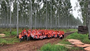 Empresa forestal recibe reconocimiento por calidad y sostenibilidad en su producción