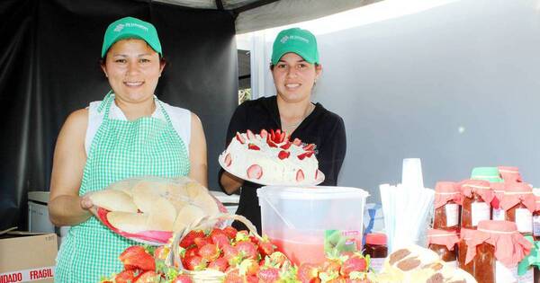 La Nación / Expo Frutilla de Areguá arrancará en dos semanas