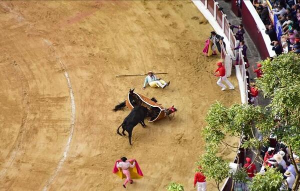 6 fallecidos y decena de heridos en Colombia, tras tragedia en corrida de toros
