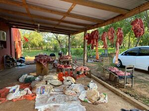 Incautan unos 600 kilos de carne en Concepción - Policiales - ABC Color