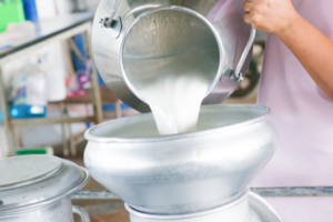 Productos lácteos ayudaron a que caída de PIB no haya sido pronunciada