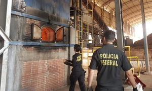 Policía Federal del Brasil incinera 12 toneladas de drogas incautadas - La Clave