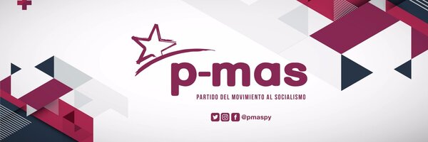 P-mas rechaza el uso del padrón nacional para definir candidatura - El Trueno
