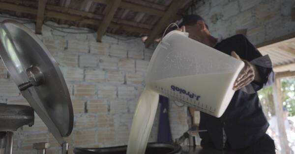 La Nación / Titular de Capainlac destacó suba en el consumo de productos lácteos