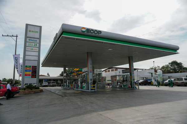 El Chaco paraguayo, sinónimo de progreso y avance | Empresas | 5Días