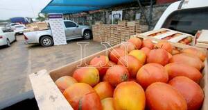 La Nación / Productores de tomates amenazan con salir a las rutas ante avance del contrabando