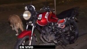 Motociclista muere al rozar su biciclo contra un camión