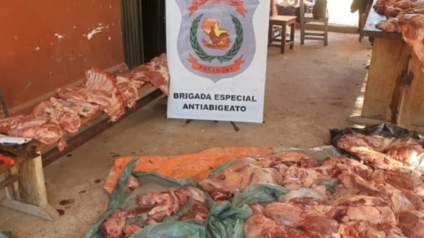 En Concepción incautan media tonelada de carne clandestina