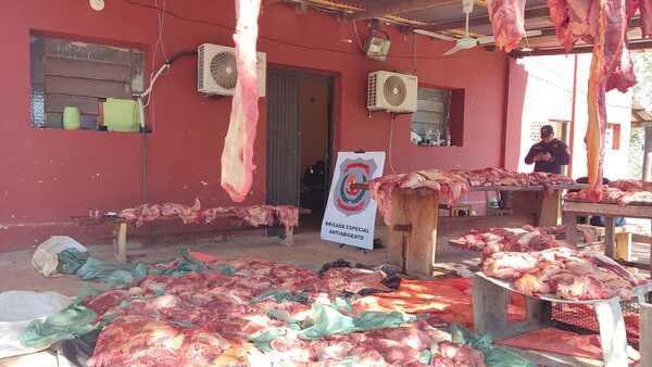 Incautan más de 500 kilos de carne en Concepción