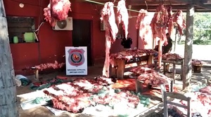 Incautaron más de 600 kilos de carne que eran transportados en un camión en Concepción - Megacadena — Últimas Noticias de Paraguay