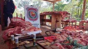 Crónica / Camión con 500 kilos de carne fue incautado en Concepción
