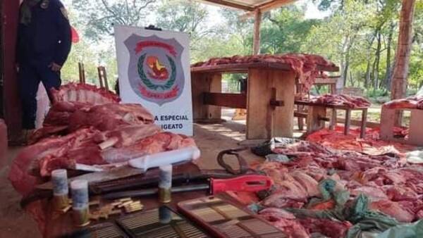 Crónica / Camión con 500 kilos de carne fue incautado en Concepción