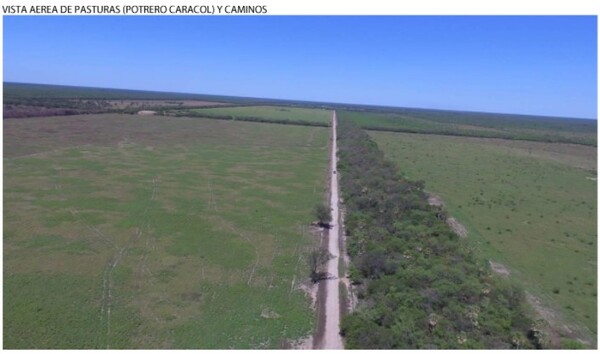 Kunzle Propiedades vende campo ganadero modelo con más de 4.600 hectáreas en Pozo Colorado