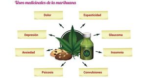 Marihuana (2) - Escolar - ABC Color