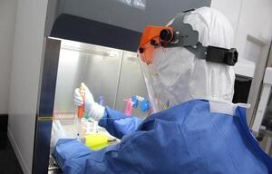 Salud: testeos aumentan 100% por enfermedades respiratorias