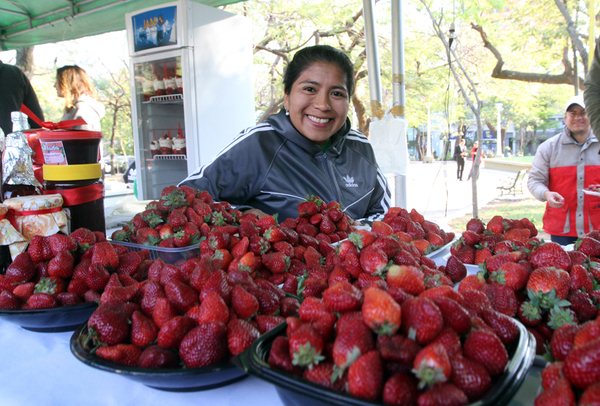 Habilitan el “MAG - Delivery de la Frutilla” para entrega de la fruta en Asunción y Gran Asunción - .::Agencia IP::.